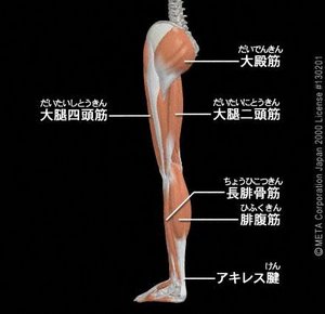 20100209-01.jpg