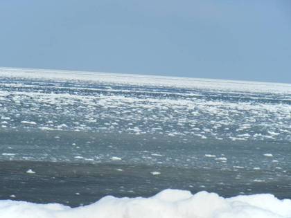 20100215-03.jpg