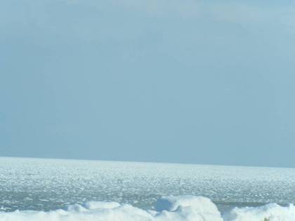 20100215-04.jpg