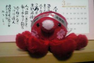 20100317-02.JPG