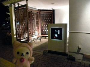 20100325-03.jpg