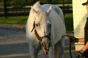 20100704-00.jpg