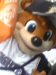 cabee