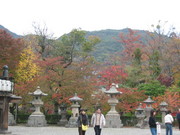 善光寺紅葉