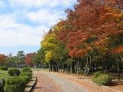 古戦場紅葉2
