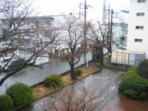 ３月２０日の朝