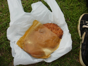 一枚岩チキン