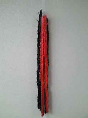 20100309-01.jpg