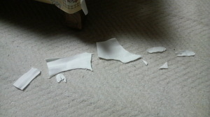 20090812-02.JPG