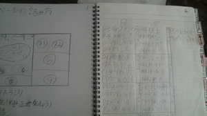 20100116-01.JPG