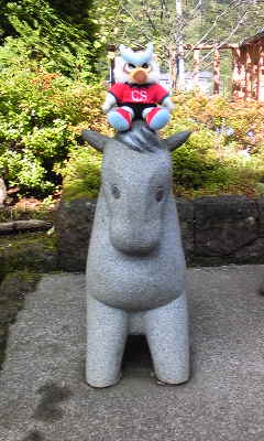 Image363.jpg