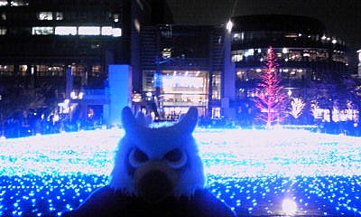 20101122-01.jpg