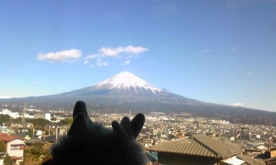 20110118-00.jpg