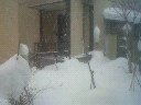 20110118-01.jpg
