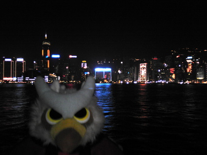 20110202-02.JPG