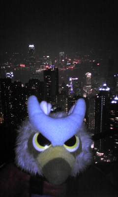 20110202-03.jpg