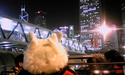 20110202-04.jpg