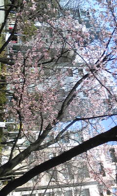 Image026.jpg