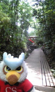 20110801-01.jpg