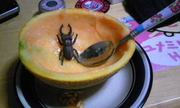 20110801-02.jpg