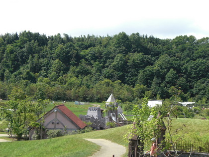 20090816-06.JPG