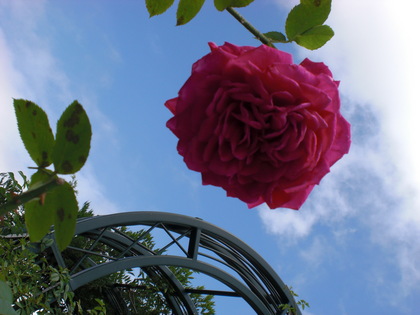 20090816-08.JPG