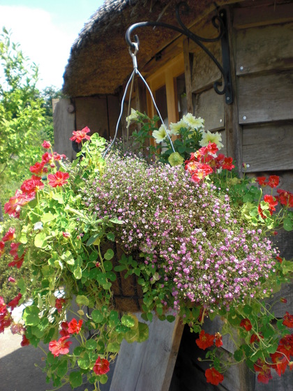20090816-09.JPG