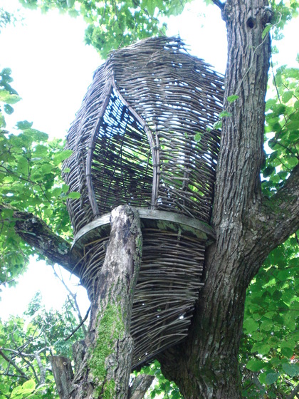 20090816-10.JPG