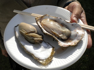 20101002-02.JPG