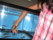 20080730-03.JPG