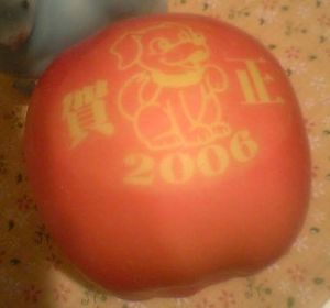 20060102-00.jpg