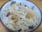 20060127-01.jpg