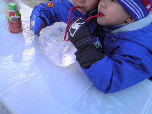 20080208-02.jpg