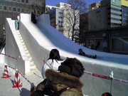 20080208-04.jpg
