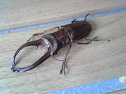 20090921-03.jpg