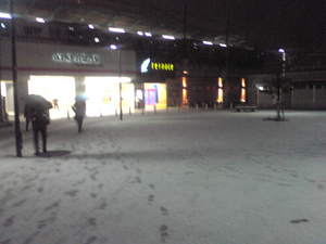 20100309-00.jpg