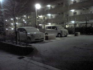 20100309-01.jpg