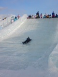 20100218-04.JPG