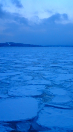 20100218-07.JPG