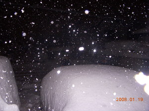 20080119-00.jpg