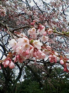20070408105955.jpg