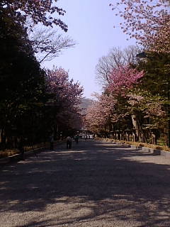 20090505090603.jpg