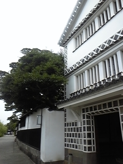 100730_133632.jpg