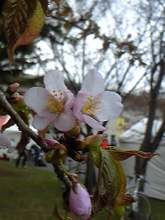 120503_102330.jpg