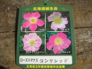 20070618-02.JPG