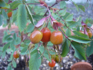 20070730-00.JPG