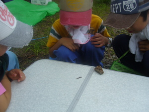 20070809-01.JPG