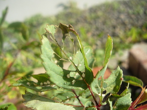 20070813-00.JPG