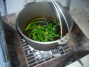 20070909-04.JPG