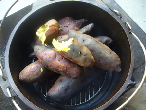 20071125-03.JPG